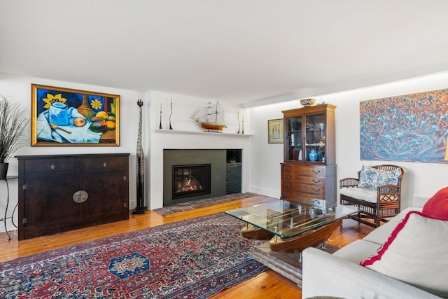 living room featuring hardwood / wood-style floors