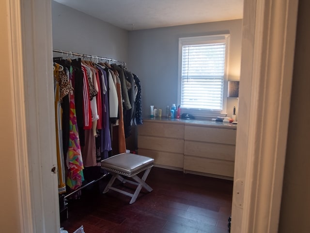 spacious closet with dark hardwood / wood-style flooring