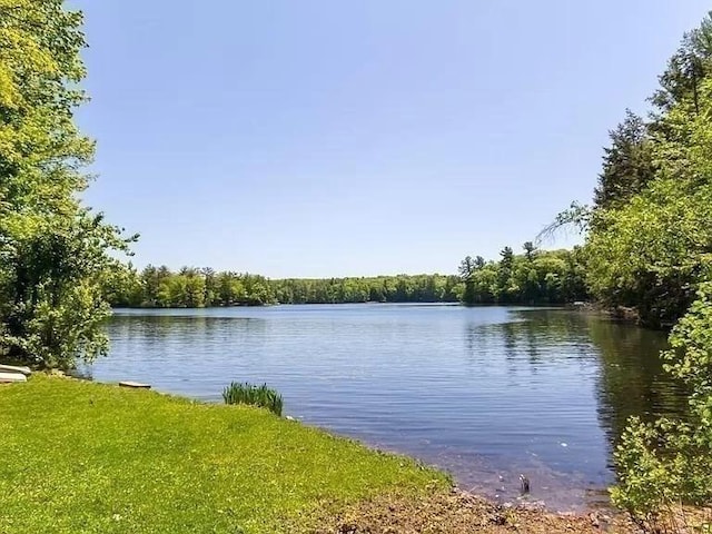 property view of water