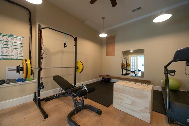 5 Copperbeech Cir, Westborough, MA 01581 - exercise area with wood finished floors, a ceiling fan, baseboards, and a towering ceiling