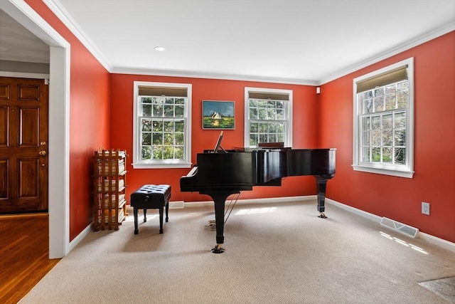 living area featuring baseboards, ornamental molding, carpet, and visible vents