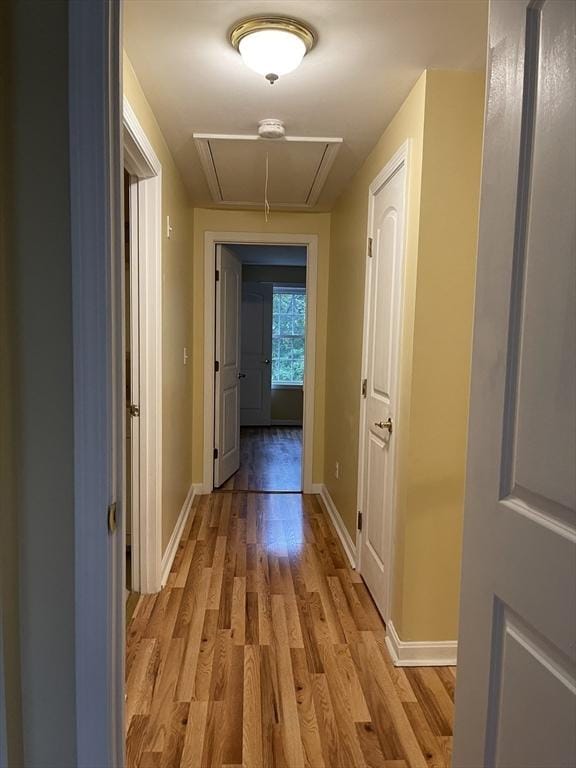 24A Outlook Dr Unit A, Worcester, MA 01602 - hall featuring attic access and light wood-type flooring