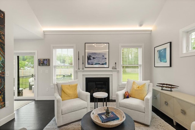 16 Primrose Ln Unit 16, Ipswich, MA 01938 - living room with a glass covered fireplace and hardwood / wood-style floors