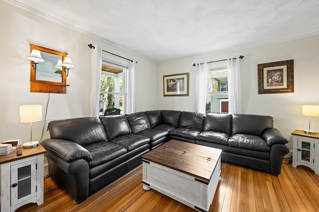 living area featuring ornamental molding and light wood-type flooring
