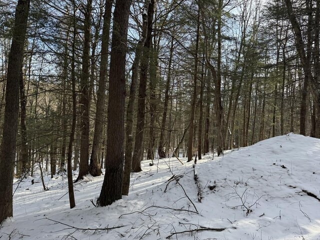 0 Tunnel Rd, Rowe, MA 01367