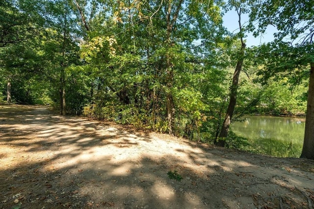 view of local wilderness with a water view