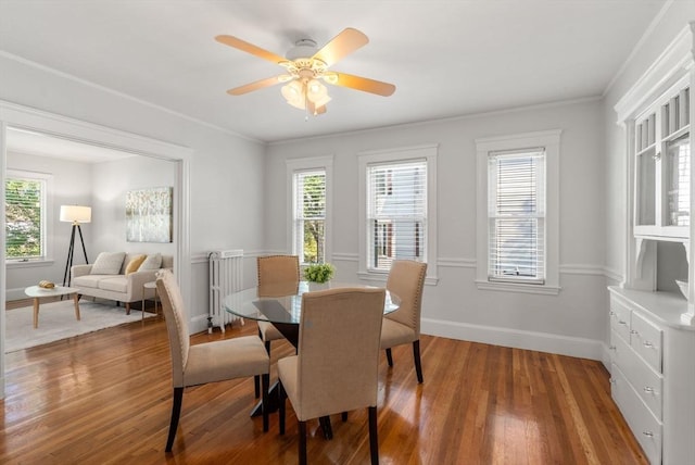 dining area featuring a healthy amount of sunlight, wood-type flooring, radiator, and ornamental molding