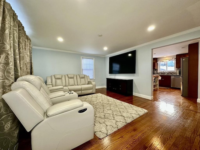 living room featuring crown molding, dark hardwood / wood-style floors, and a wealth of natural light