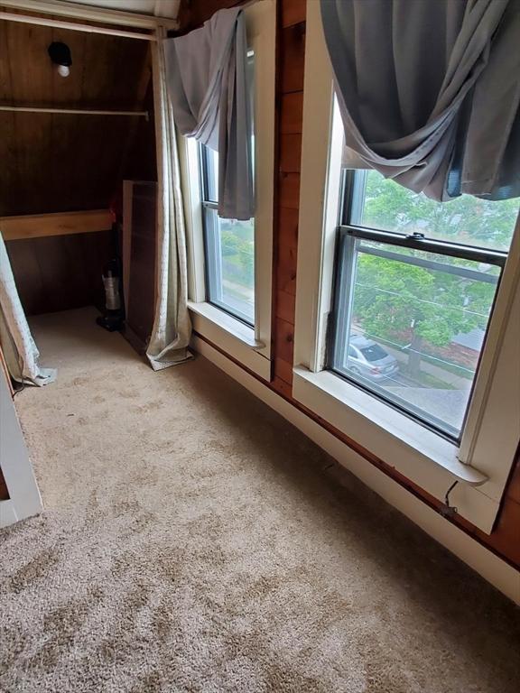 additional living space featuring carpet floors