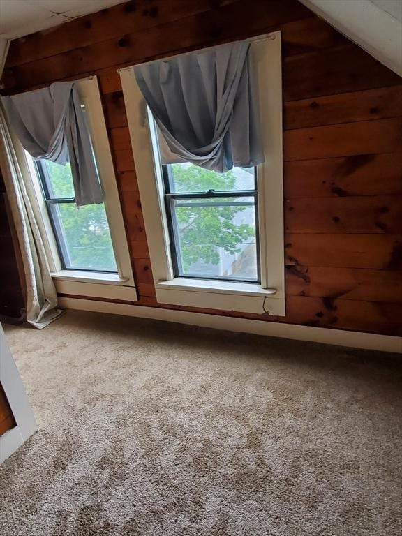 additional living space featuring wooden walls, a healthy amount of sunlight, and carpet