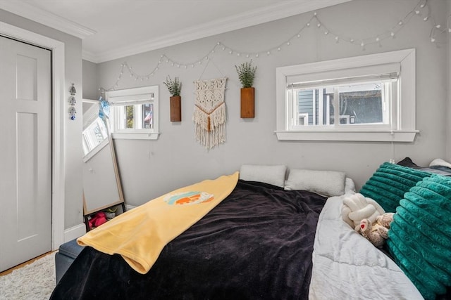 293 D St Unit 2, Boston, MA 02127 - bedroom with crown molding and baseboards