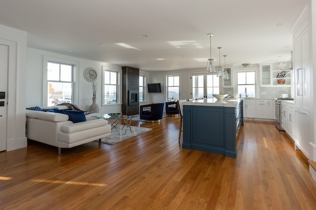 living room featuring sink and light hardwood / wood-style flooring