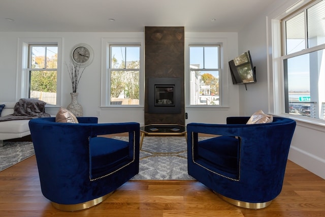 living room featuring a healthy amount of sunlight, hardwood / wood-style flooring, and a fireplace