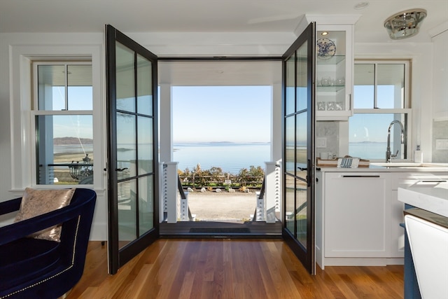 doorway with plenty of natural light, french doors, sink, and light hardwood / wood-style flooring