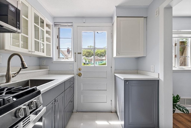 358 Lexington St Unit 358, Watertown, MA 02472 - kitchen featuring stainless steel appliances, gray cabinets, healthy amount of natural light, and glass insert cabinets