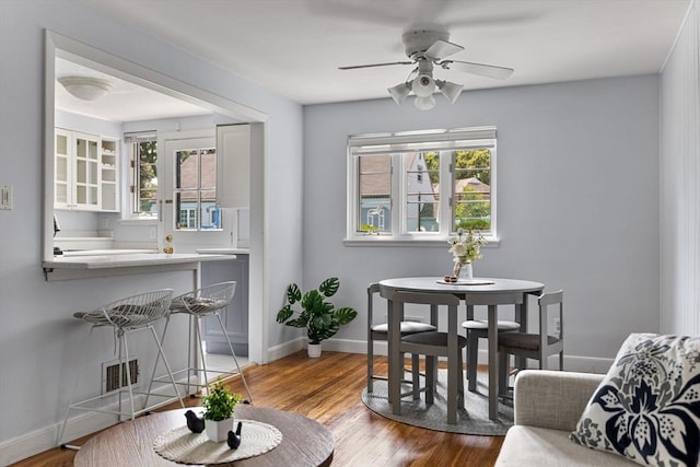 358 Lexington St Unit 358, Watertown, MA 02472 - living room featuring a ceiling fan and wood finished floors