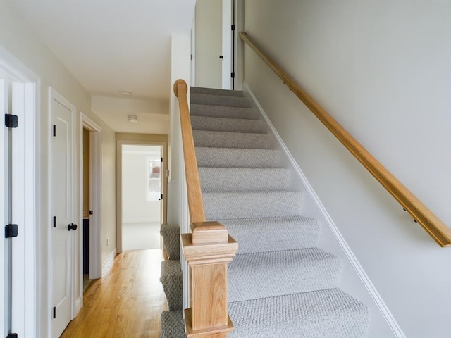 staircase with hardwood / wood-style flooring