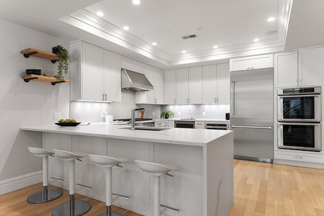 kitchen with white cabinetry, a breakfast bar area, stainless steel appliances, a tray ceiling, and extractor fan