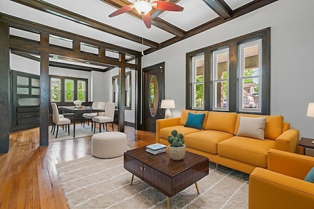 50 Switzer Ave, Springfield, MA 01109 - living room with light wood finished floors, a ceiling fan, and beamed ceiling