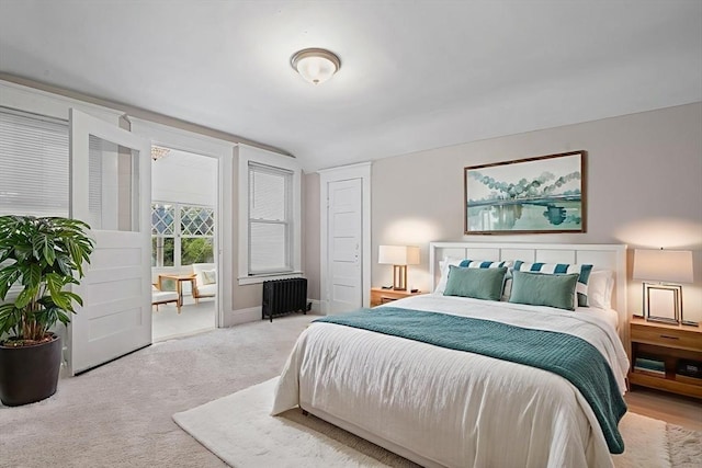 50 Switzer Ave, Springfield, MA 01109 - bedroom with radiator and carpet floors