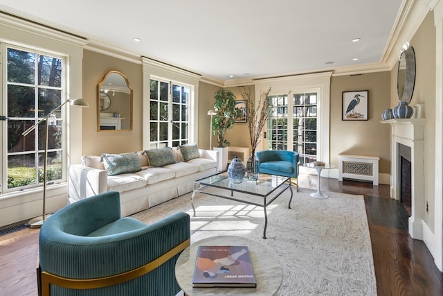 living room with ornamental molding, dark hardwood / wood-style flooring, and a healthy amount of sunlight