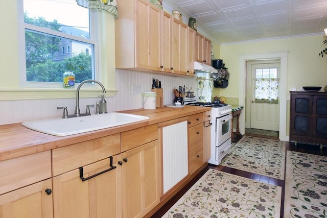 27 Ocean Ave Unit 1, Salem, MA 01970 - kitchen featuring gas range gas stove, wooden counters, under cabinet range hood, light brown cabinets, and an ornate ceiling