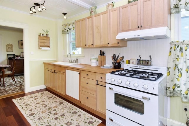 27 Ocean Ave Unit 1, Salem, MA 01970 - kitchen with white gas stove, under cabinet range hood, light brown cabinets, ornamental molding, and dark wood-style floors