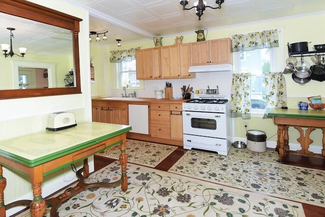 27 Ocean Ave Unit 1, Salem, MA 01970 - kitchen featuring gas range gas stove, under cabinet range hood, a chandelier, dishwasher, and light countertops