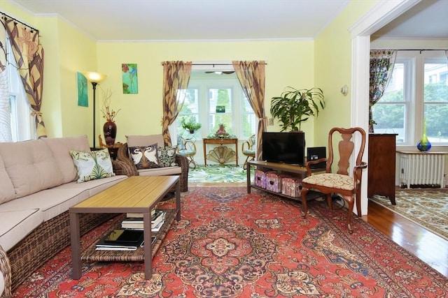 27 Ocean Ave Unit 1, Salem, MA 01970 - living room with radiator, wood finished floors, and ornamental molding