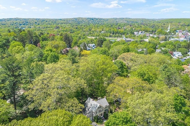 bird's eye view of a forest