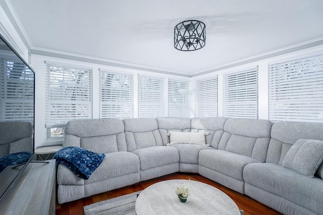 living room with crown molding and dark hardwood / wood-style floors