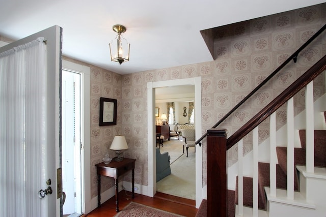 entryway featuring dark hardwood / wood-style floors