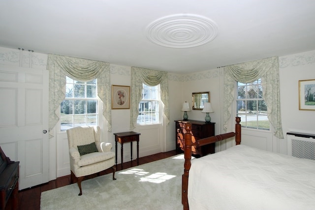 bedroom featuring dark wood-type flooring and multiple windows