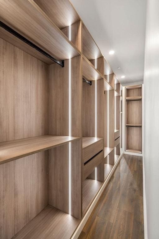 spacious closet featuring dark wood-style flooring