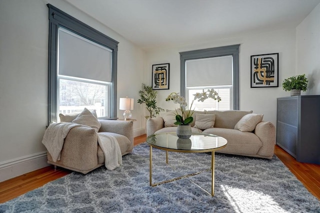 living room featuring dark hardwood / wood-style floors