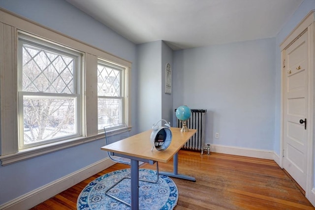 office area featuring wood-type flooring and radiator