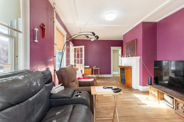 living room with light wood-type flooring