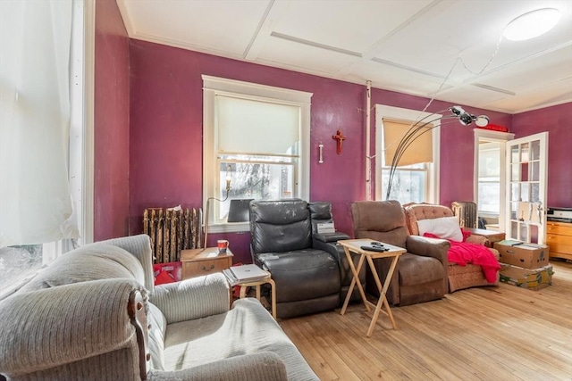 living room featuring hardwood / wood-style floors and radiator heating unit