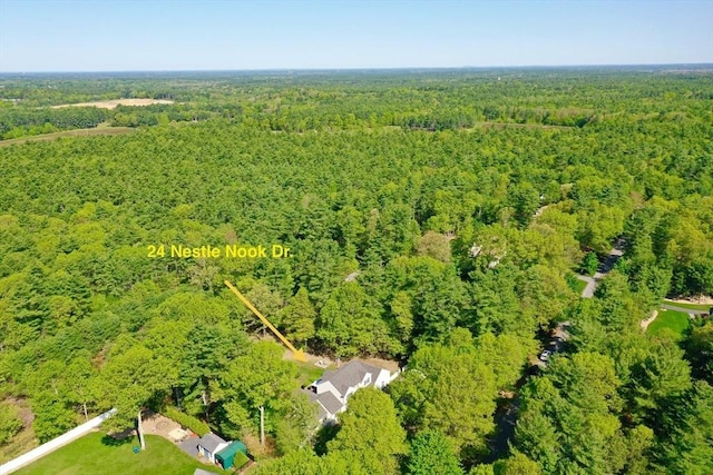 bird's eye view of a forest