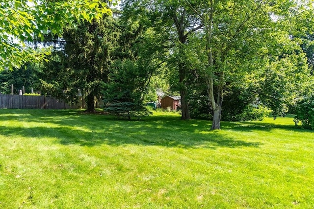 31 Melwood Ave, East Longmeadow, MA 01028 - view of yard