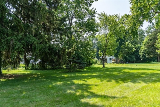 31 Melwood Ave, East Longmeadow, MA 01028 - view of grassy yard