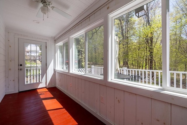 unfurnished sunroom featuring wood walls and wood finished floors