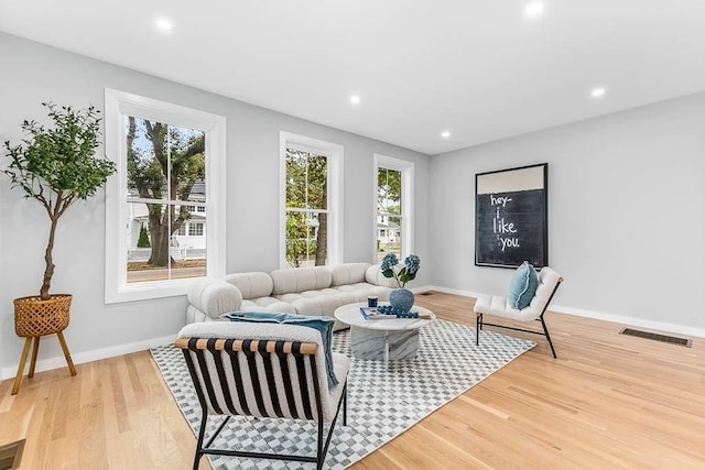 living room featuring wood-type flooring and a wealth of natural light