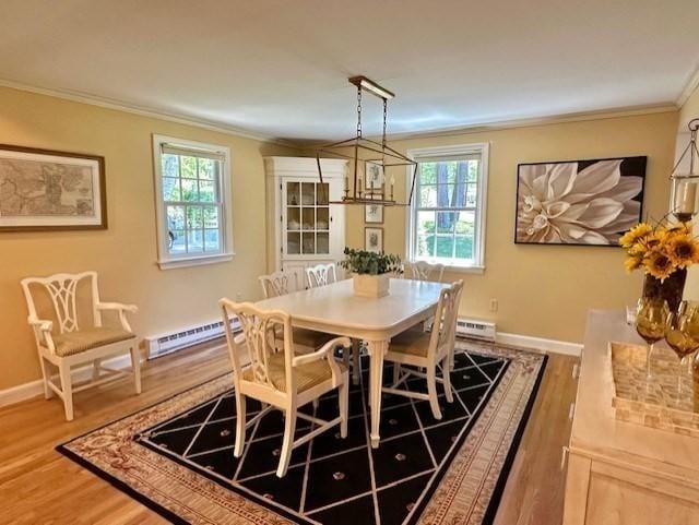 10 Granada Way, Andover, MA 01810 - dining space featuring a baseboard radiator, ornamental molding, plenty of natural light, and wood finished floors