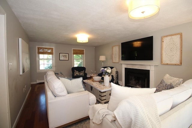 12 Bonin Dr, Haverhill, MA 01832 - living room featuring dark wood finished floors, a fireplace, baseboards, and baseboard heating