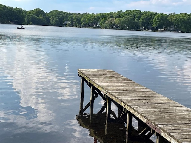 dock area with a water view