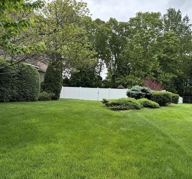 48 Twin Brook Ln, Taunton, MA 02780 - view of yard