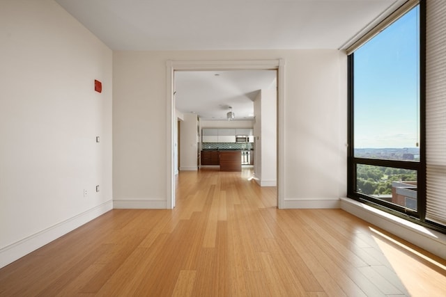 empty room featuring light wood-type flooring