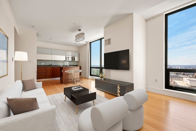 living room with light hardwood / wood-style floors