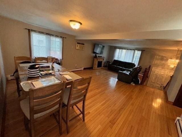 139 Westmoor Rd, Boston, MA 02132 - dining area featuring light wood-type flooring, plenty of natural light, and baseboard heating